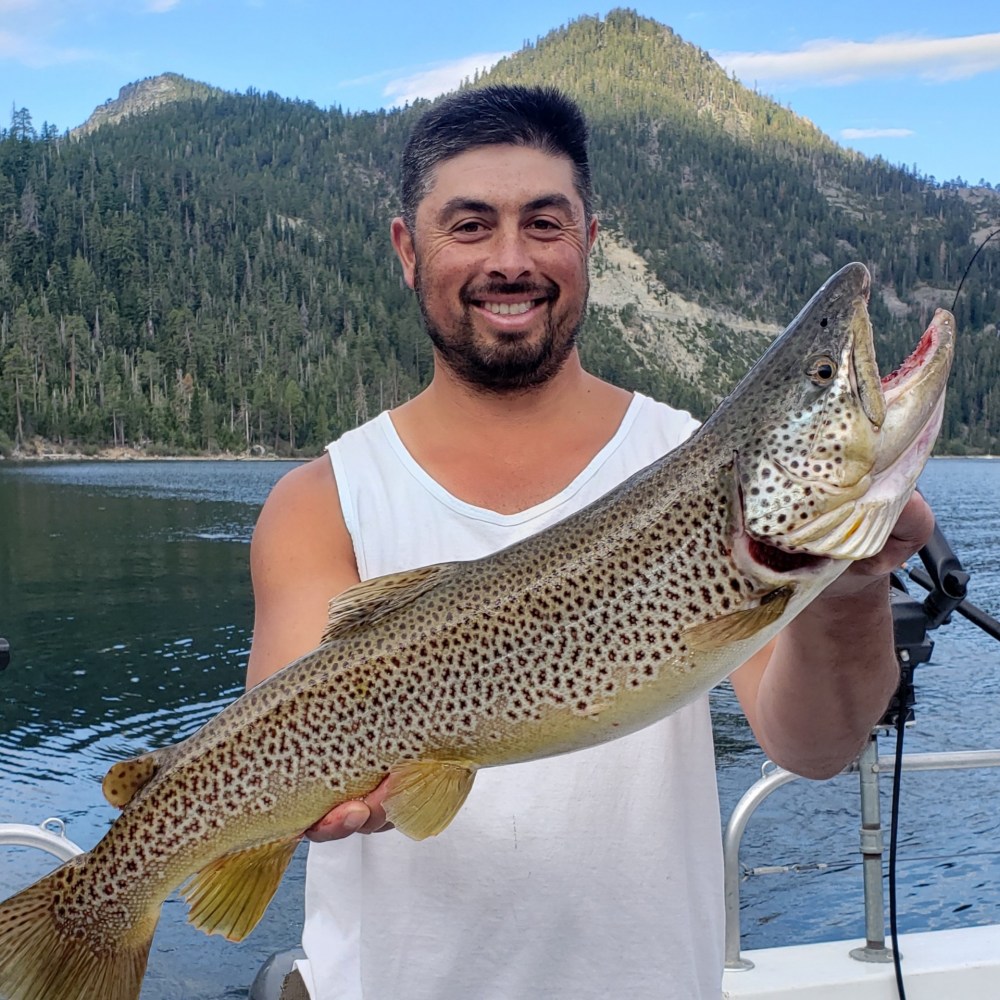 Man Holding a Massive Spotted Brown Trout