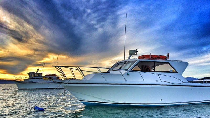 a close up of a boat next to a body of water