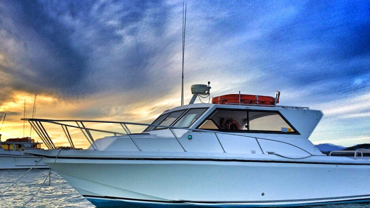 a close up of a boat next to a body of water