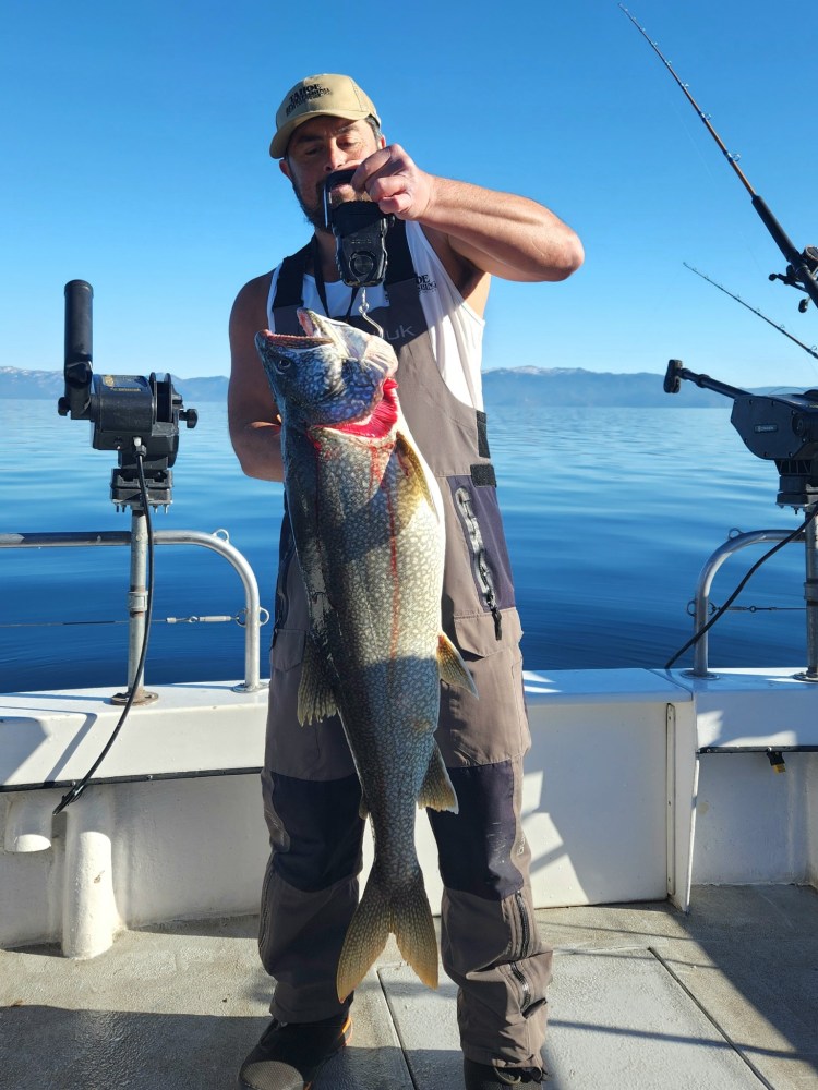 Person holding large fish on a boat with a clear blue sky.