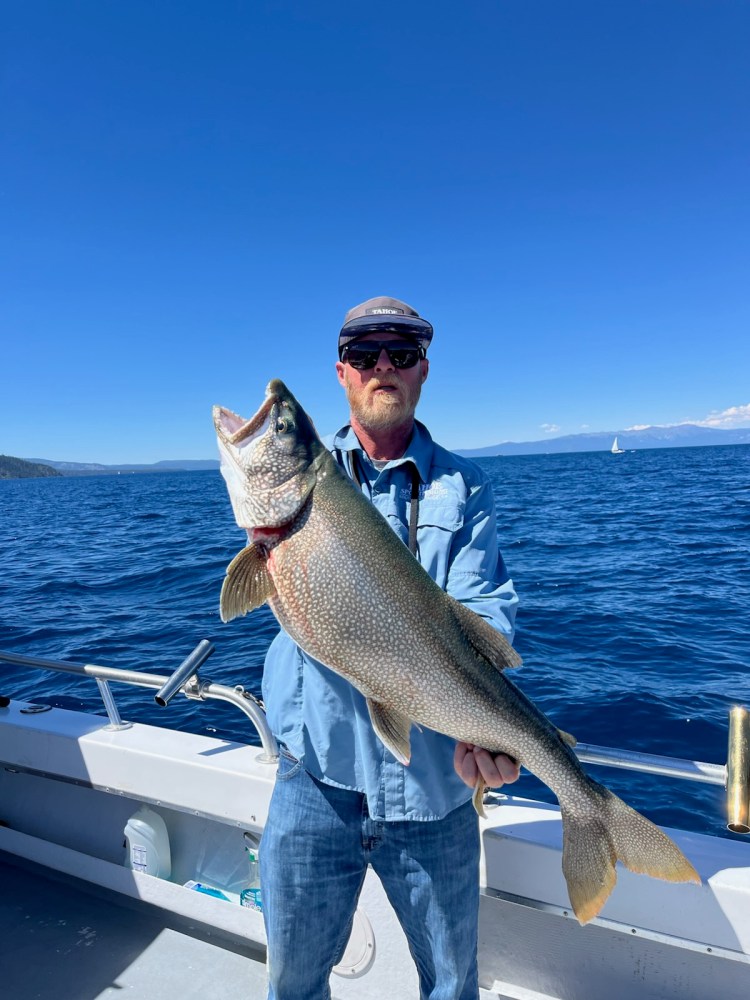 Person on a boat holding a large fish with a clear blue sky.