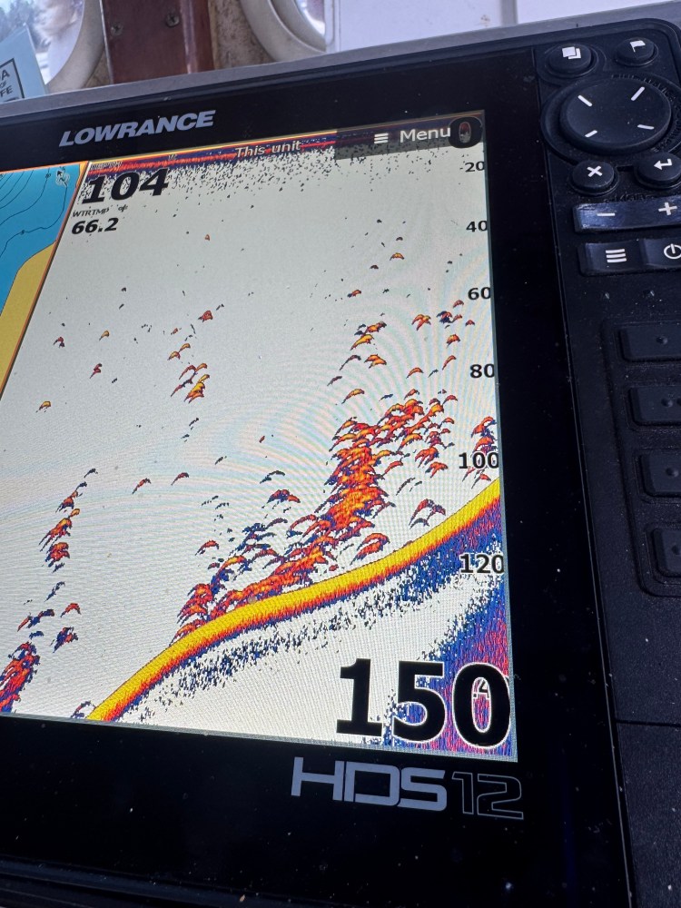 A fish finder display showing fish arch patterns underwater.